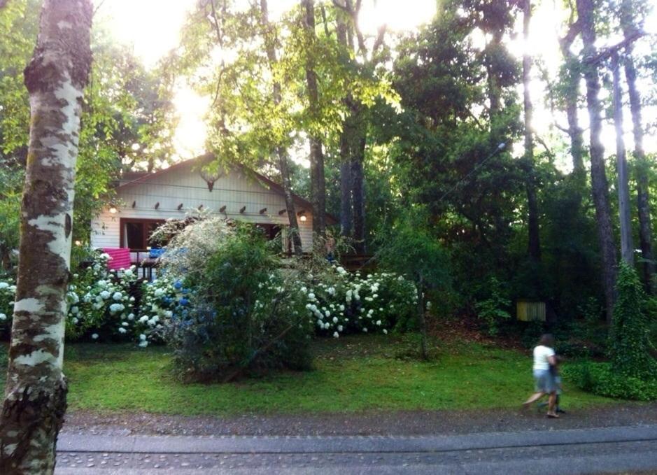 Casa Saltos Del Molco Pucón